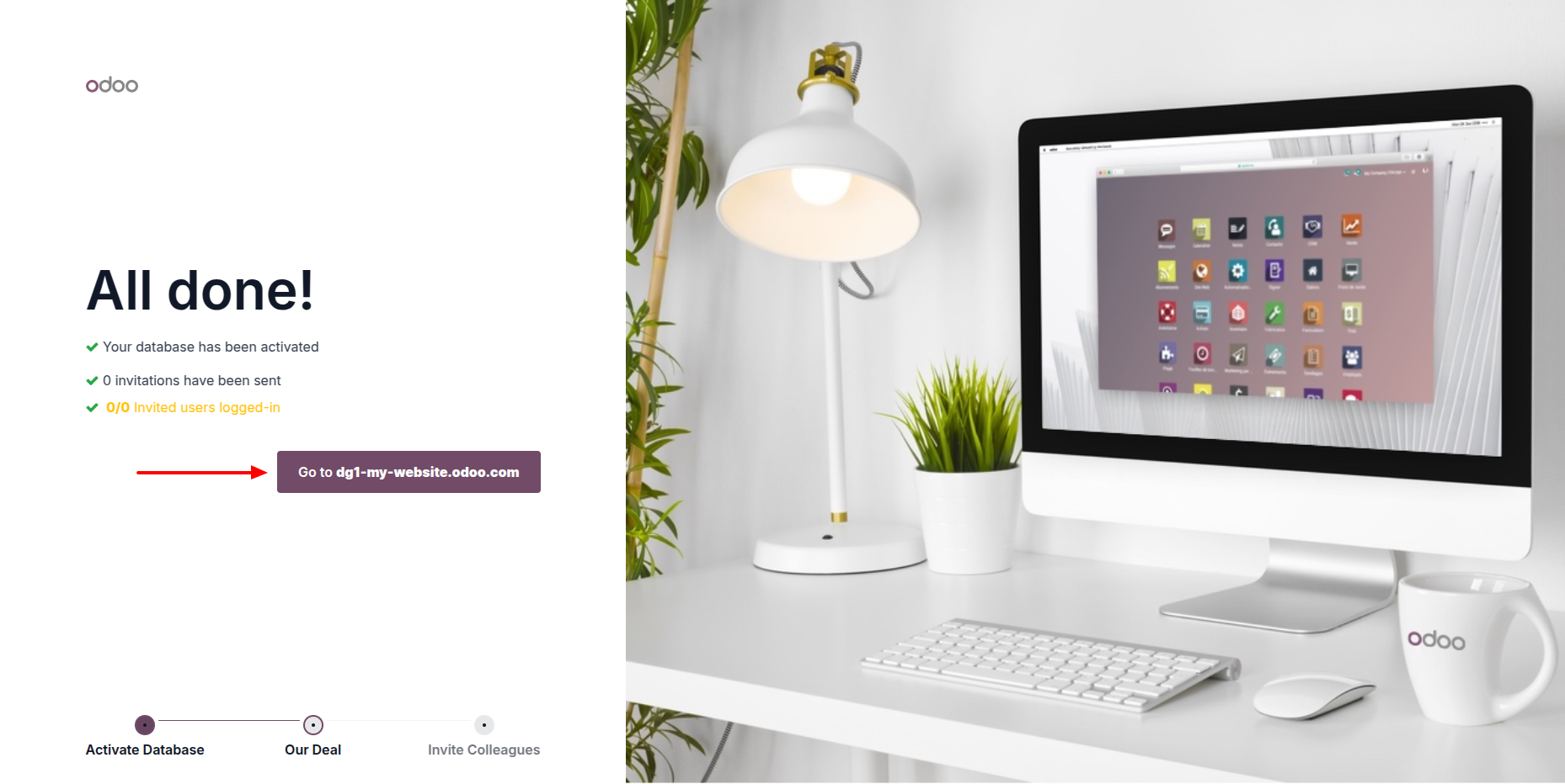 Confirm Odoo database