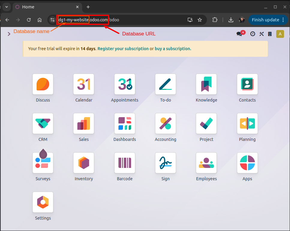 Odoo Database name and URL
